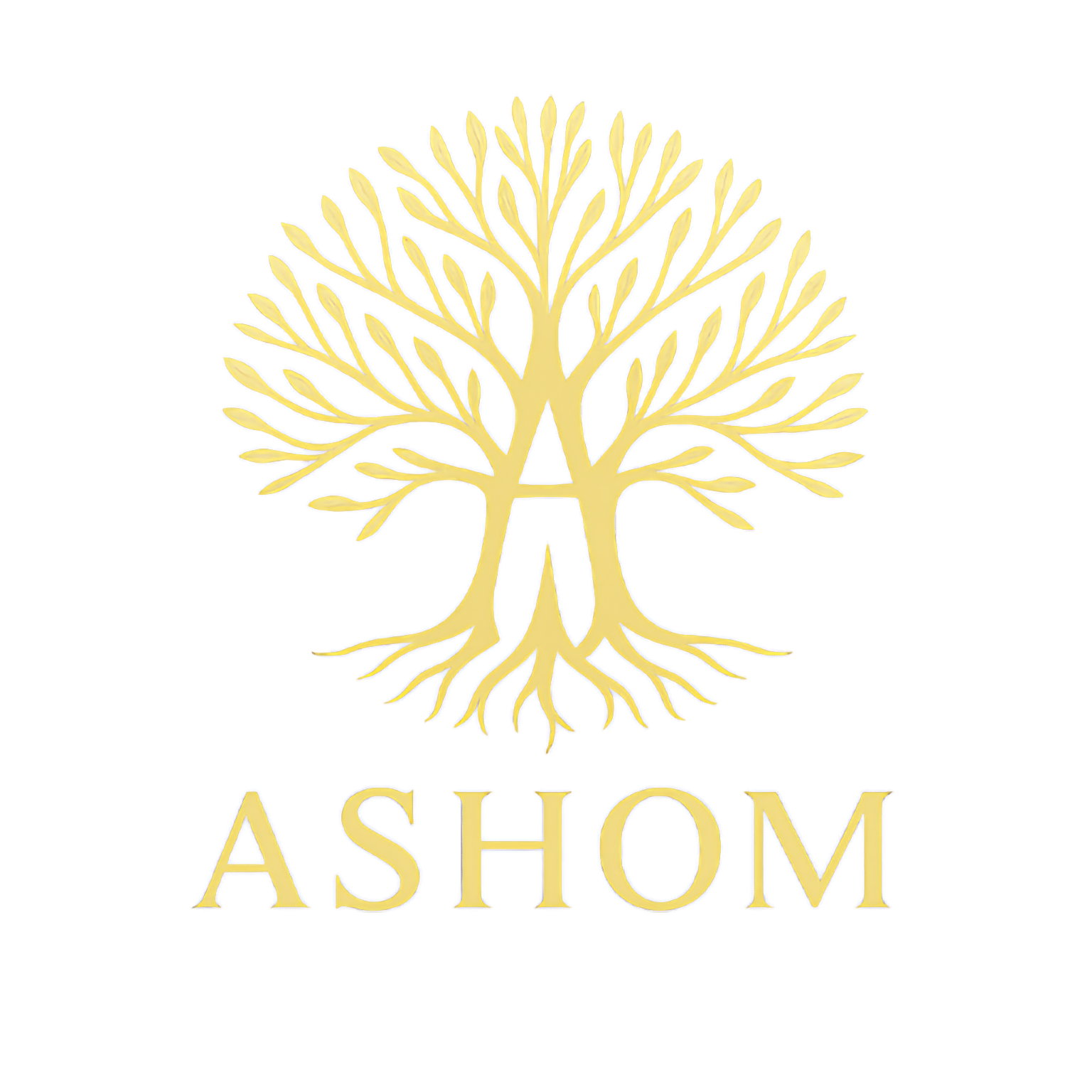 ASHOM logo
